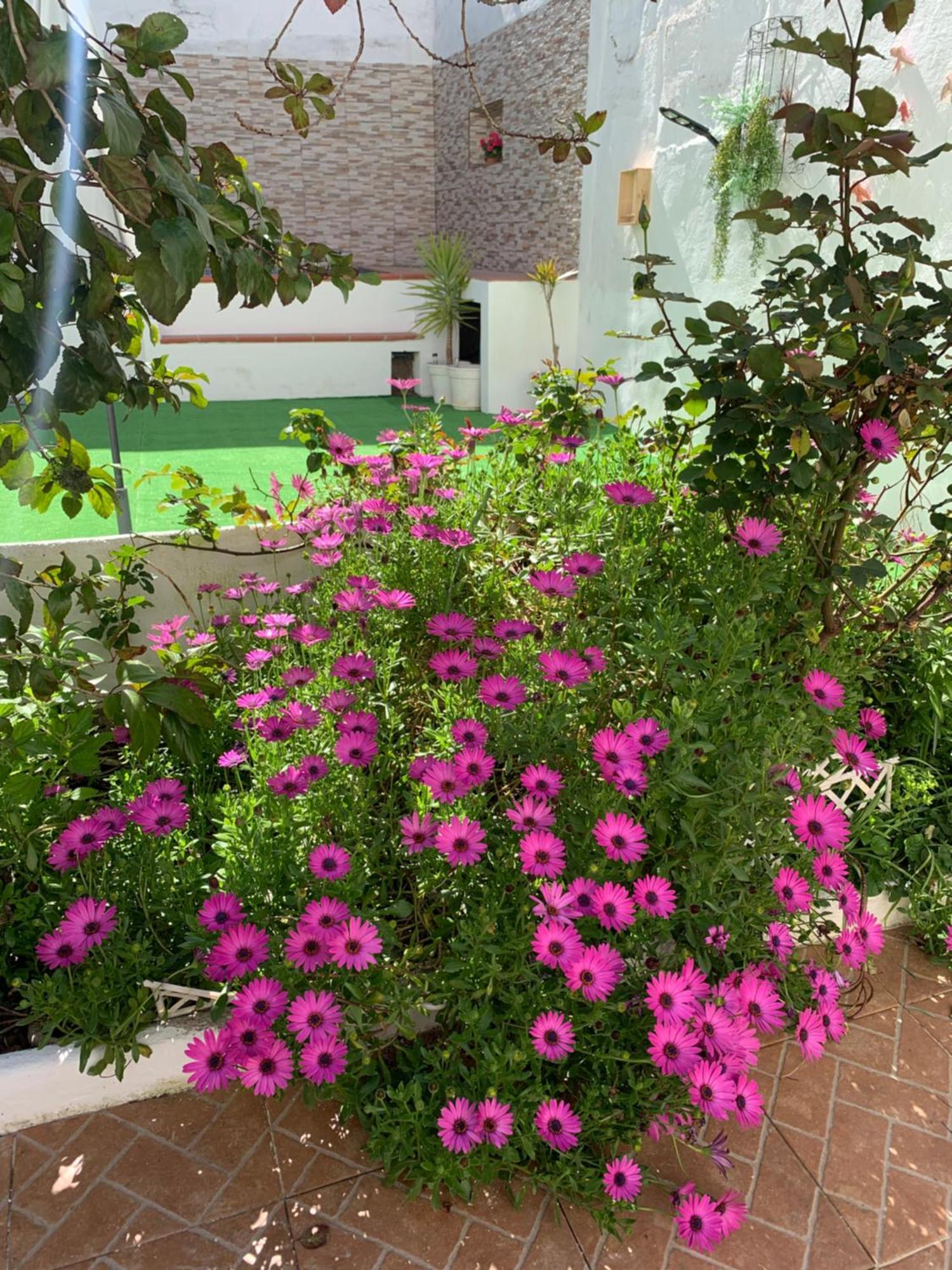 فيلا Casa Dos Tios Estremoz-Veiros المظهر الخارجي الصورة