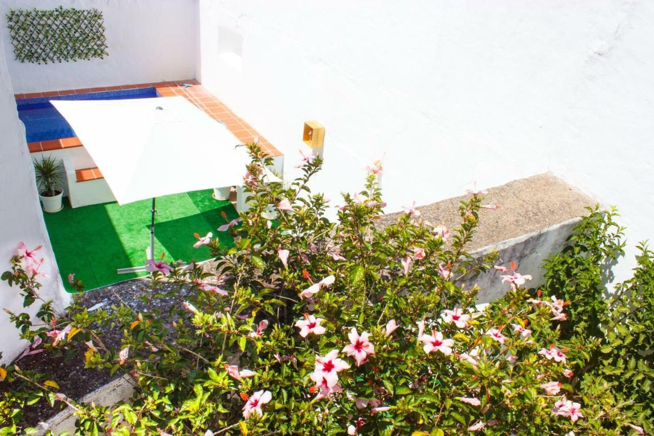 فيلا Casa Dos Tios Estremoz-Veiros المظهر الخارجي الصورة